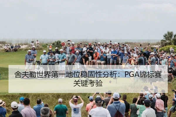 she-fu-lei-shi-jie-di-yi-di-wei-wen-gu-xing-fen-xi-jin-biao-sai-guan-jian-kao-yan-2-598.jpg