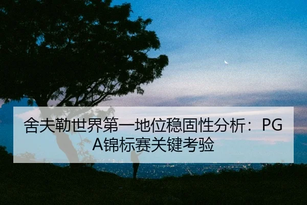 she-fu-lei-shi-jie-di-yi-di-wei-wen-gu-xing-fen-xi-jin-biao-sai-guan-jian-kao-yan-3-509.jpg